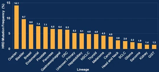 同源重組修復缺陷(HRD)臨床檢測與應用專家共識